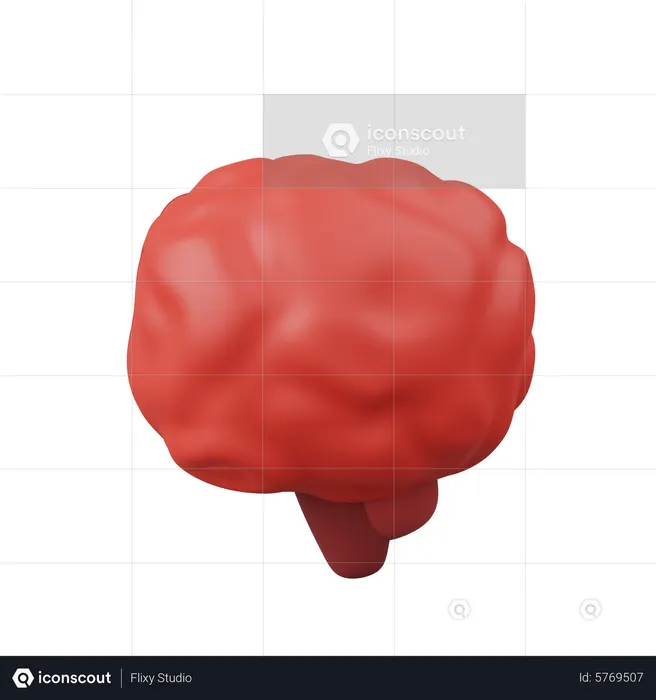 Cérebro  3D Icon