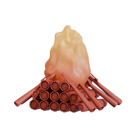 Feu de camp enregistre une formation pyramidale  3D Icon