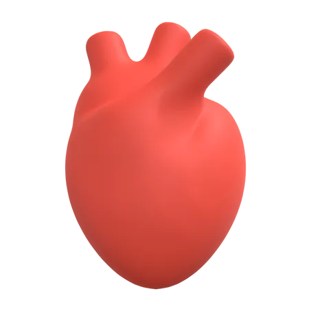 Coração humano  3D Illustration