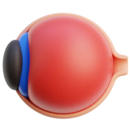 Eyeball Anatomy 3D Icon
