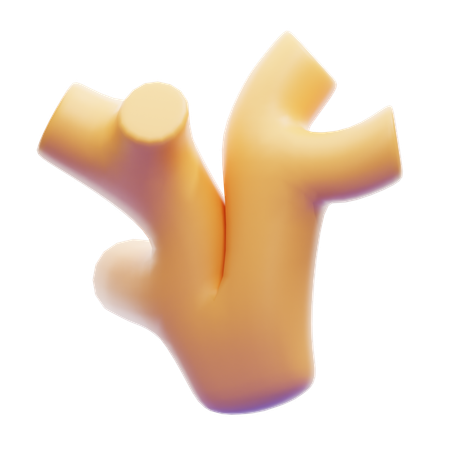 Ginger  3D Icon
