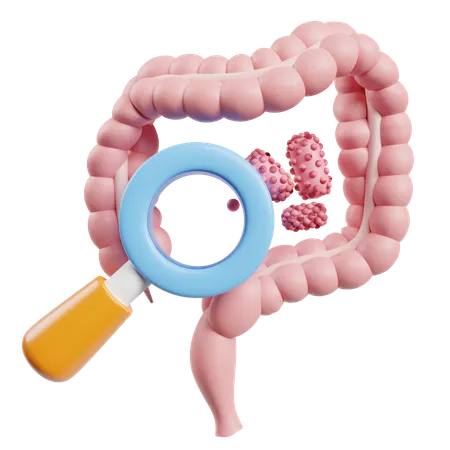 Healty Gut  3D Icon