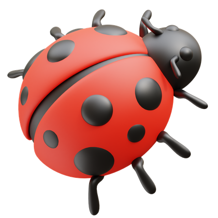 Ladybug  3D Icon