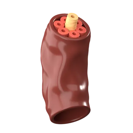 Músculo  3D Icon