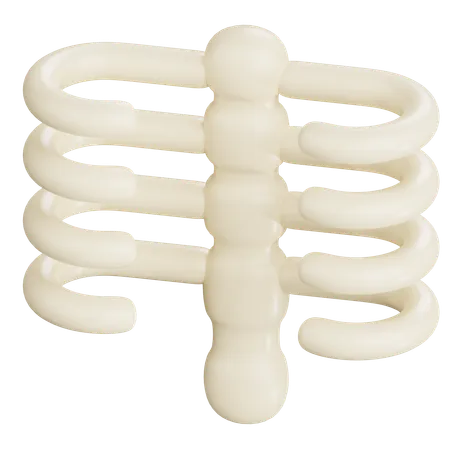 Ossos do peito humano  3D Icon