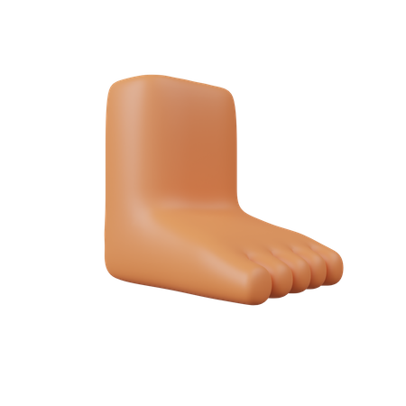 Pé  3D Icon