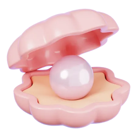 진주 껍질  3D Icon