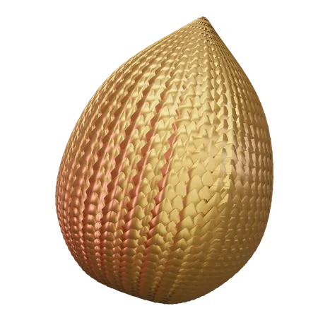 Salak  3D Icon