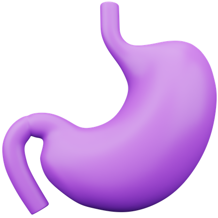 Stomach  3D Icon