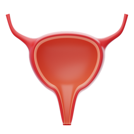 Urinário  3D Icon