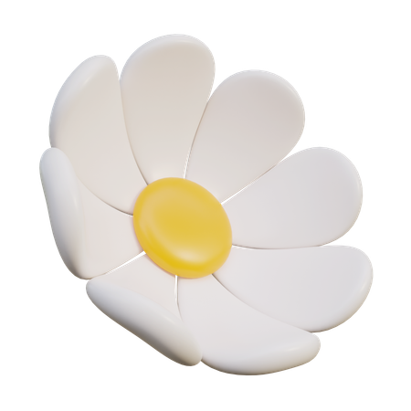 White Daisy Flower  3D Icon